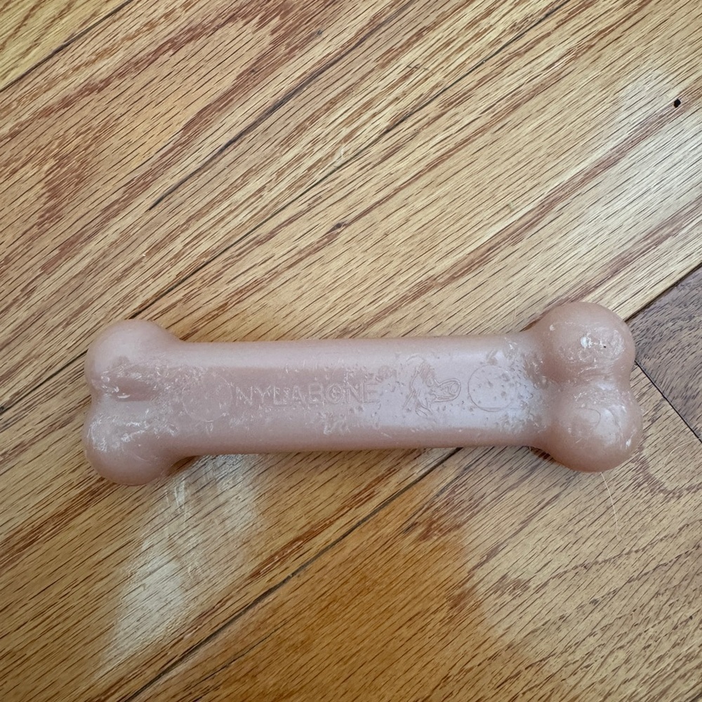 Nylabone Brown Chewing Toy Bone for Small or Medium Dog